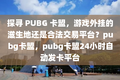 探寻 PUBG 卡盟，游戏外挂的滋生地还是合法交易平台？pubg卡盟，pubg卡盟24小时自动发卡平台