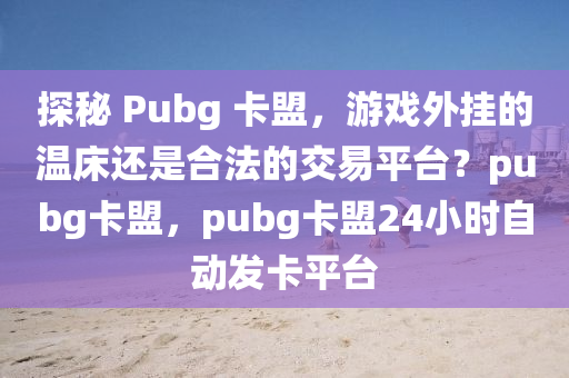 探秘 Pubg 卡盟，游戏外挂的温床还是合法的交易平台？pubg卡盟，pubg卡盟24小时自动发卡平台