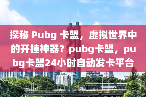 探秘 Pubg 卡盟，虚拟世界中的开挂神器？pubg卡盟，pubg卡盟24小时自动发卡平台