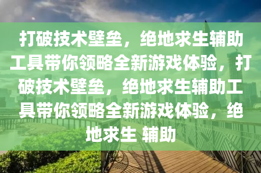 打破技术壁垒，绝地求生辅助工具带你领略全新游戏体验，打破技术壁垒，绝地求生辅助工具带你领略全新游戏体验，绝地求生 辅助