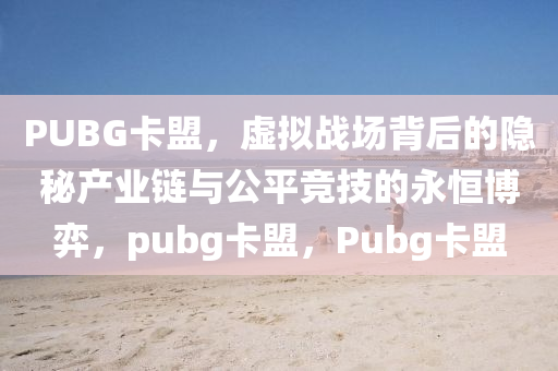 PUBG卡盟，虚拟战场背后的隐秘产业链与公平竞技的永恒博弈，pubg卡盟，Pubg卡盟