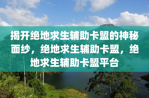 揭开绝地求生辅助卡盟的神秘面纱，绝地求生辅助卡盟，绝地求生辅助卡盟平台