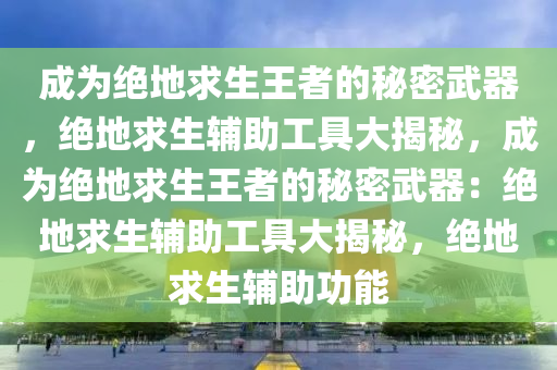 成为绝地求生王者的秘密武器，绝地求生辅助工具大揭秘，成为绝地求生王者的秘密武器：绝地求生辅助工具大揭秘，绝地求生辅助功能