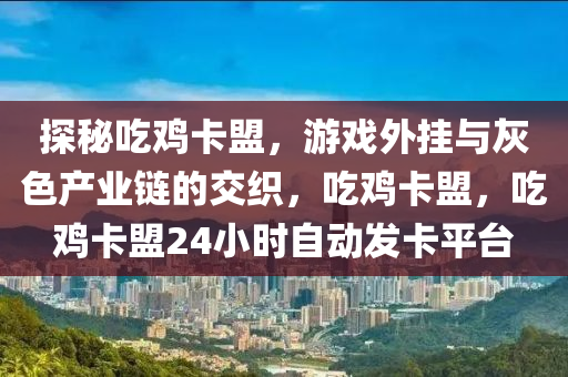 探秘吃鸡卡盟，游戏外挂与灰色产业链的交织，吃鸡卡盟，吃鸡卡盟24小时自动发卡平台