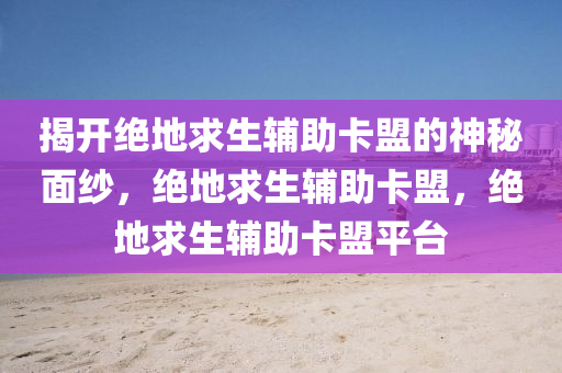揭开绝地求生辅助卡盟的神秘面纱，绝地求生辅助卡盟，绝地求生辅助卡盟平台