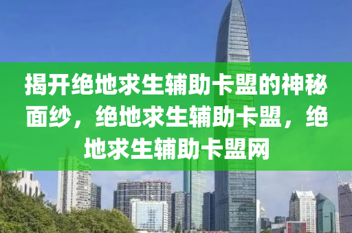 揭开绝地求生辅助卡盟的神秘面纱，绝地求生辅助卡盟，绝地求生辅助卡盟网