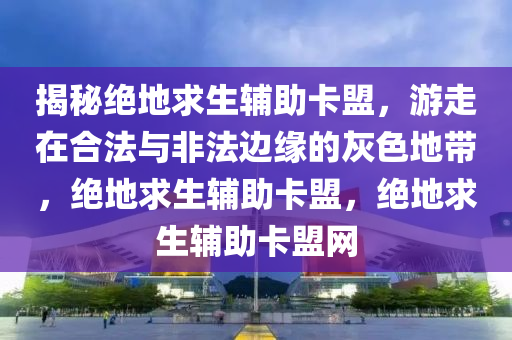 揭秘绝地求生辅助卡盟，游走在合法与非法边缘的灰色地带，绝地求生辅助卡盟，绝地求生辅助卡盟网