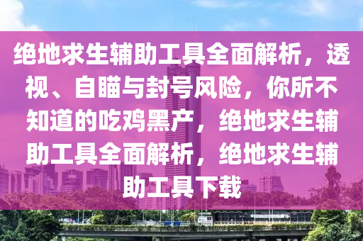 绝地求生辅助工具全面解析，透视、自瞄与封号风险，你所不知道的吃鸡黑产，绝地求生辅助工具全面解析，绝地求生辅助工具下载