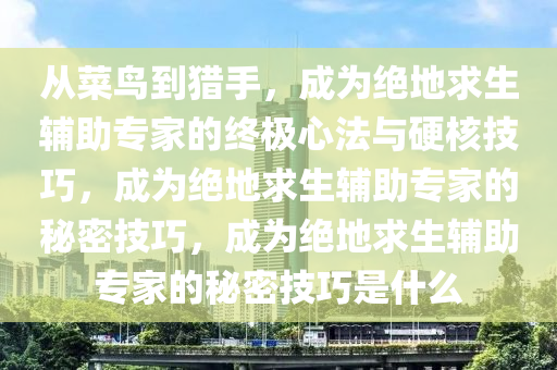 从菜鸟到猎手，成为绝地求生辅助专家的终极心法与硬核技巧，成为绝地求生辅助专家的秘密技巧，成为绝地求生辅助专家的秘密技巧是什么
