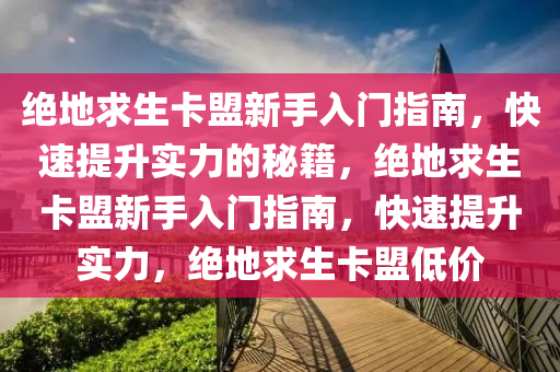 绝地求生卡盟新手入门指南，快速提升实力的秘籍，绝地求生卡盟新手入门指南，快速提升实力，绝地求生卡盟低价