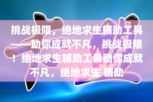 挑战极限，绝地求生辅助工具——助你成就不凡，挑战极限！绝地求生辅助工具助你成就不凡，绝地求生 辅助