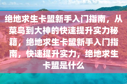 绝地求生卡盟新手入门指南，从菜鸟到大神的快速提升实力秘籍，绝地求生卡盟新手入门指南，快速提升实力，绝地求生卡盟是什么