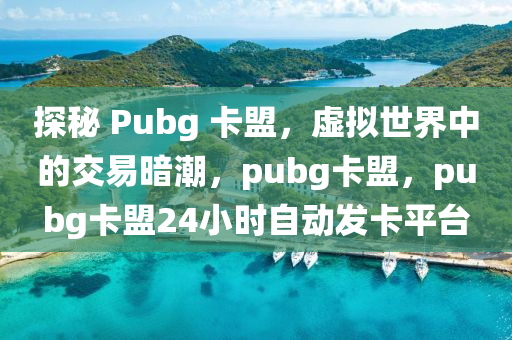 探秘 Pubg 卡盟，虚拟世界中的交易暗潮，pubg卡盟，pubg卡盟24小时自动发卡平台