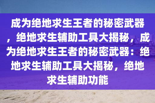 成为绝地求生王者的秘密武器，绝地求生辅助工具大揭秘，成为绝地求生王者的秘密武器：绝地求生辅助工具大揭秘，绝地求生辅助功能