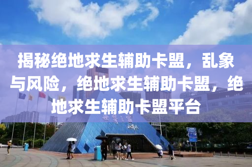 揭秘绝地求生辅助卡盟，乱象与风险，绝地求生辅助卡盟，绝地求生辅助卡盟平台
