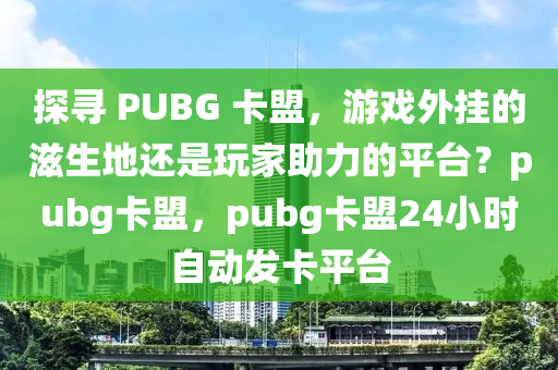 探寻 PUBG 卡盟，游戏外挂的滋生地还是玩家助力的平台？pubg卡盟，pubg卡盟24小时自动发卡平台