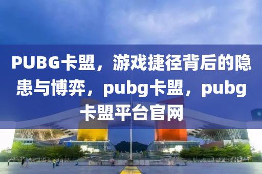 PUBG卡盟，游戏捷径背后的隐患与博弈，pubg卡盟，pubg卡盟平台官网