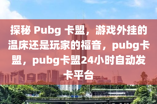 探秘 Pubg 卡盟，游戏外挂的温床还是玩家的福音，pubg卡盟，pubg卡盟24小时自动发卡平台