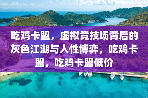 吃鸡卡盟，虚拟竞技场背后的灰色江湖与人性博弈，吃鸡卡盟，吃鸡卡盟低价