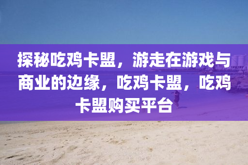 探秘吃鸡卡盟，游走在游戏与商业的边缘，吃鸡卡盟，吃鸡卡盟购买平台