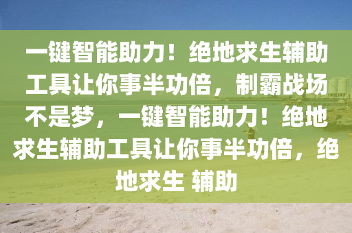 一键智能助力！绝地求生辅助工具让你事半功倍，制霸战场不是梦，一键智能助力！绝地求生辅助工具让你事半功倍，绝地求生 辅助