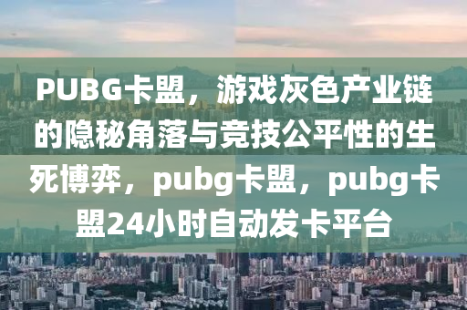 PUBG卡盟，游戏灰色产业链的隐秘角落与竞技公平性的生死博弈，pubg卡盟，pubg卡盟24小时自动发卡平台