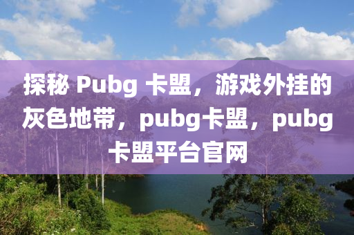 探秘 Pubg 卡盟，游戏外挂的灰色地带，pubg卡盟，pubg卡盟平台官网