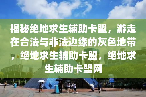揭秘绝地求生辅助卡盟，游走在合法与非法边缘的灰色地带，绝地求生辅助卡盟，绝地求生辅助卡盟网