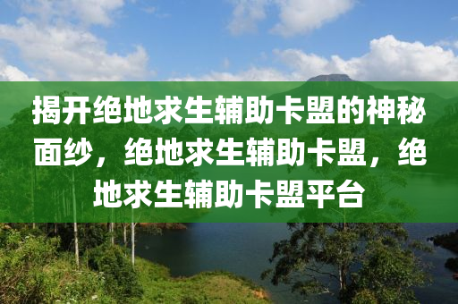 揭开绝地求生辅助卡盟的神秘面纱，绝地求生辅助卡盟，绝地求生辅助卡盟平台