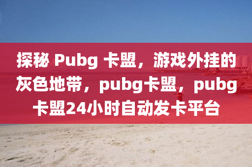 探秘 Pubg 卡盟，游戏外挂的灰色地带，pubg卡盟，pubg卡盟24小时自动发卡平台