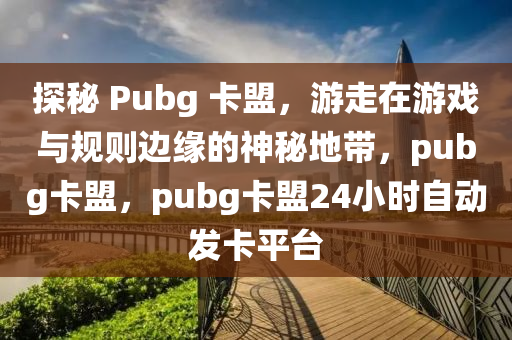 探秘 Pubg 卡盟，游走在游戏与规则边缘的神秘地带，pubg卡盟，pubg卡盟24小时自动发卡平台