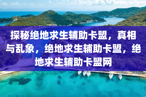 探秘绝地求生辅助卡盟，真相与乱象，绝地求生辅助卡盟，绝地求生辅助卡盟网