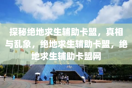 探秘绝地求生辅助卡盟，真相与乱象，绝地求生辅助卡盟，绝地求生辅助卡盟网