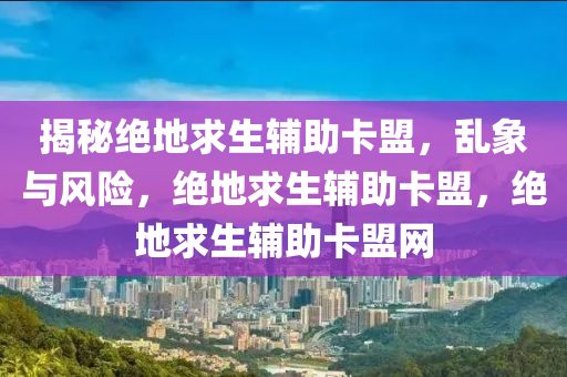 揭秘绝地求生辅助卡盟，乱象与风险，绝地求生辅助卡盟，绝地求生辅助卡盟网