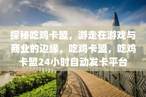 探秘吃鸡卡盟，游走在游戏与商业的边缘，吃鸡卡盟，吃鸡卡盟24小时自动发卡平台