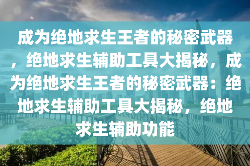 成为绝地求生王者的秘密武器，绝地求生辅助工具大揭秘，成为绝地求生王者的秘密武器：绝地求生辅助工具大揭秘，绝地求生辅助功能