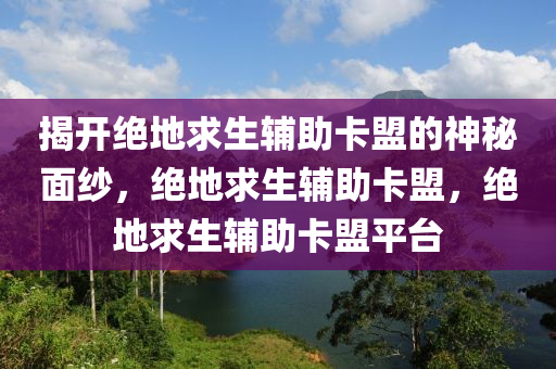 揭开绝地求生辅助卡盟的神秘面纱，绝地求生辅助卡盟，绝地求生辅助卡盟平台