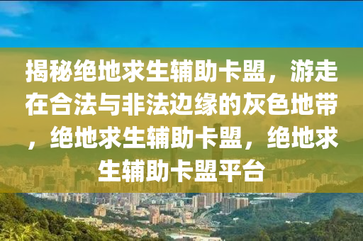 揭秘绝地求生辅助卡盟，游走在合法与非法边缘的灰色地带，绝地求生辅助卡盟，绝地求生辅助卡盟平台