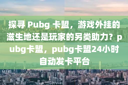 探寻 Pubg 卡盟，游戏外挂的滋生地还是玩家的另类助力？pubg卡盟，pubg卡盟24小时自动发卡平台