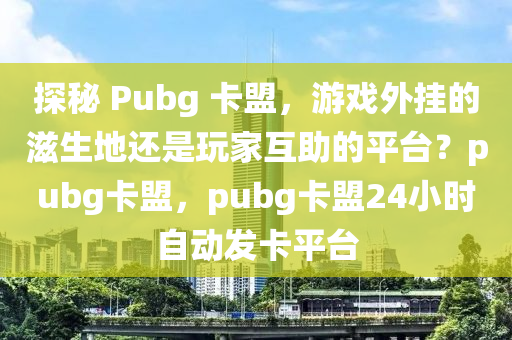 探秘 Pubg 卡盟，游戏外挂的滋生地还是玩家互助的平台？pubg卡盟，pubg卡盟24小时自动发卡平台