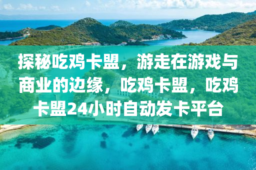 探秘吃鸡卡盟，游走在游戏与商业的边缘，吃鸡卡盟，吃鸡卡盟24小时自动发卡平台