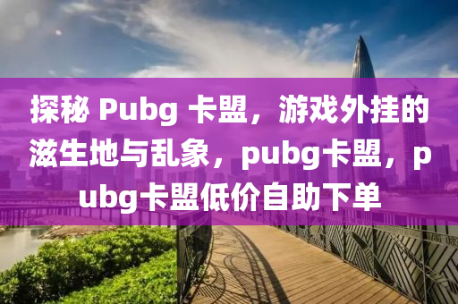 探秘 Pubg 卡盟，游戏外挂的滋生地与乱象，pubg卡盟，pubg卡盟低价自助下单