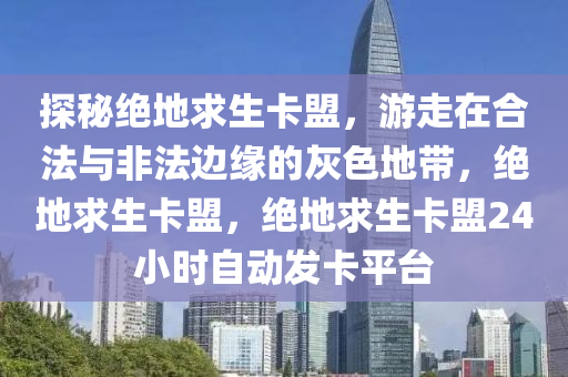 探秘绝地求生卡盟，游走在合法与非法边缘的灰色地带，绝地求生卡盟，绝地求生卡盟24小时自动发卡平台