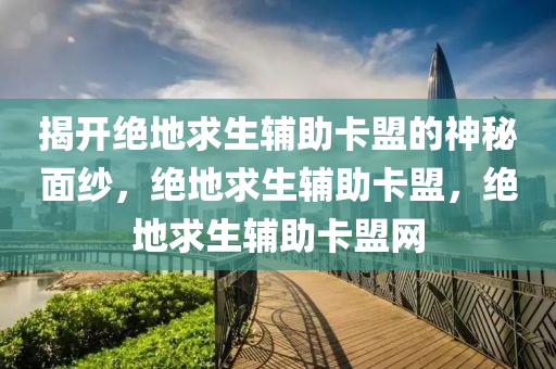 揭开绝地求生辅助卡盟的神秘面纱，绝地求生辅助卡盟，绝地求生辅助卡盟网