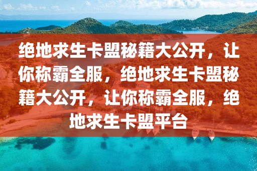 绝地求生卡盟秘籍大公开，让你称霸全服，绝地求生卡盟秘籍大公开，让你称霸全服，绝地求生卡盟平台