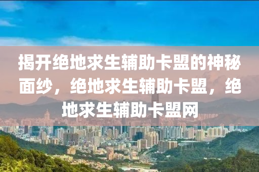 揭开绝地求生辅助卡盟的神秘面纱，绝地求生辅助卡盟，绝地求生辅助卡盟网