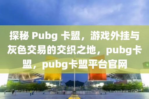 探秘 Pubg 卡盟，游戏外挂与灰色交易的交织之地，pubg卡盟，pubg卡盟平台官网