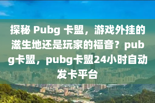 探秘 Pubg 卡盟，游戏外挂的滋生地还是玩家的福音？pubg卡盟，pubg卡盟24小时自动发卡平台