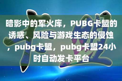 暗影中的军火库，PUBG卡盟的诱惑、风险与游戏生态的侵蚀，pubg卡盟，pubg卡盟24小时自动发卡平台