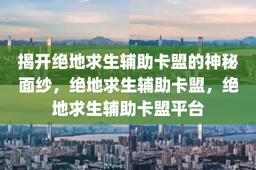 揭开绝地求生辅助卡盟的神秘面纱，绝地求生辅助卡盟，绝地求生辅助卡盟平台